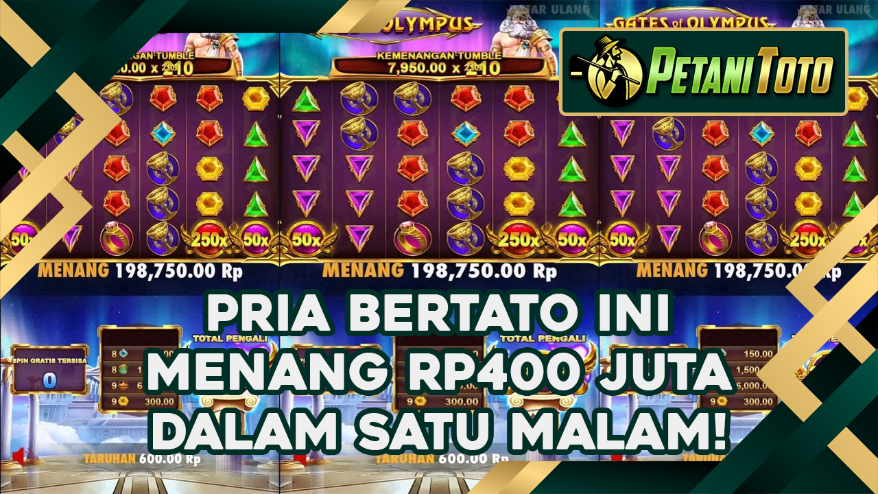 PETANITOTO Daily News